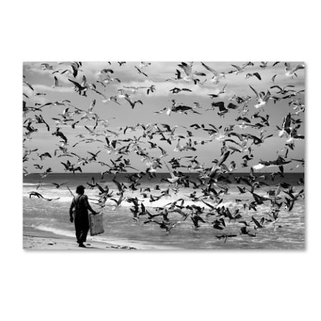 Liesbeth Van Der 'Birds Birds' Canvas Art,22x32